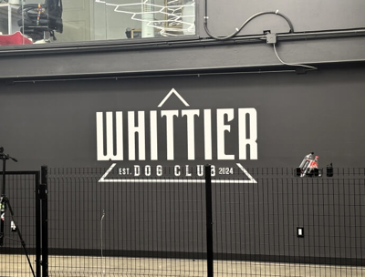 Window and Wall Graphics Photo